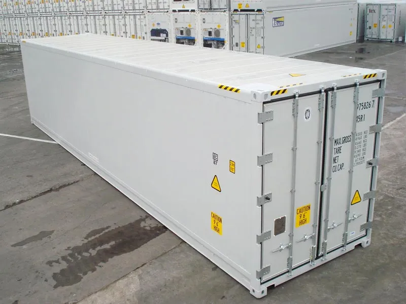 Container Refrigerato da 20 Piedi - immagine 2