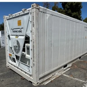 Container refrigerato Thermo King da 20 piedi - 2021